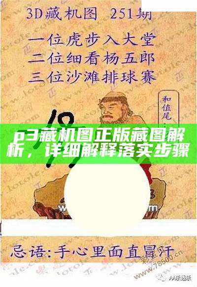 p3藏机图正版藏图解析，详细解释落实步骤