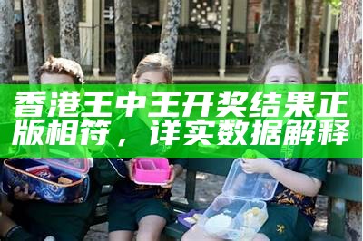 香港王中王开奖结果正版相符，详实数据解释