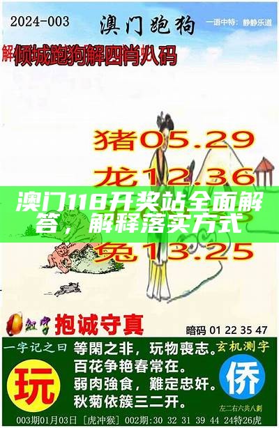 澳门118开奖站全面解答，解释落实方式