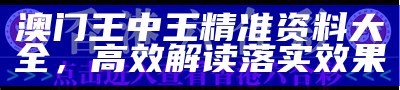 澳门王中王精准资料大全，高效解读落实效果