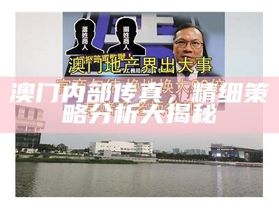 澳门内部传真，精细策略分析大揭秘