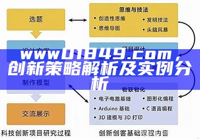 www01849.com，创新策略解析及实例分析