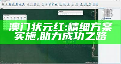澳门状元红: 精细方案实施,助力成功之路
