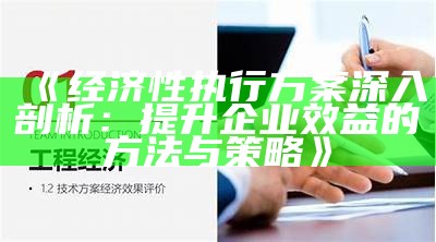 《经济性执行方案深入剖析：提升企业效益的方法与策略》