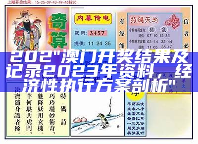 2023澳门今晚开奖记录查询攻略及解析