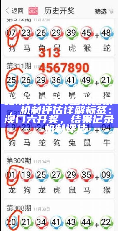 2029521年澳门六下魔灵活性执行计划详解