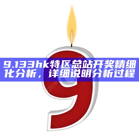 9.133hk特区总站开奖精细化分析，详细说明分析过程