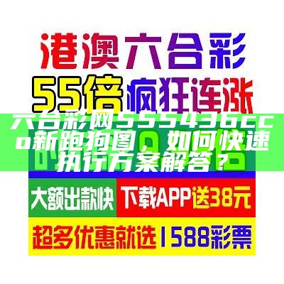 六台彩网555436cco新跑狗图，如何快速执行方案解答？