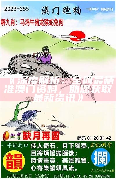 《深度解析：全网最精准澳门资料，助您获取最新资讯》