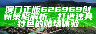 澳门正版626969创新策略解析，打造独具特色的赌场体验