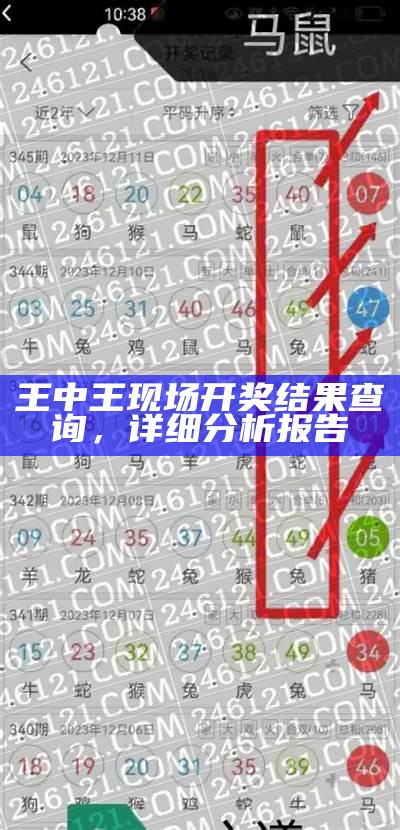 494949最快开奖今晚揭晓,独家解析创新性计划