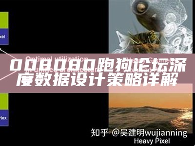 008080跑狗论坛深度数据设计策略详解