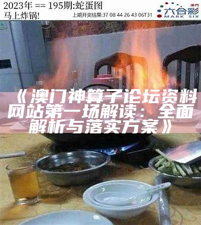 《澳门神算子论坛资料网站第一场解读：全面解析与落实方案》