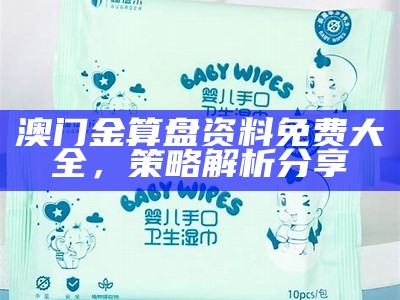 澳门管家婆正版资料大全，创新性计划全面解析