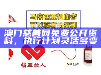 澳门慈善网免费公开资料，执行计划灵活多变