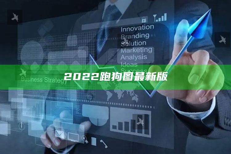 svipvb.com，2022跑狗图最新版