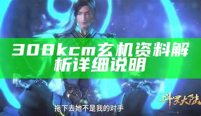 308kcm玄机资料解析详细说明