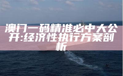 澳门一码精准必中大公开: 经济性执行方案剖析