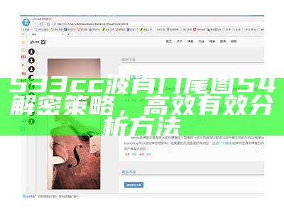 533cc波肖门尾图54解密策略，高效有效分析方法