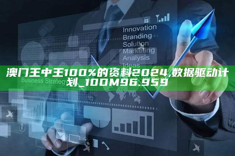 2025澳门码今晚开奖结果，澳门王中王100%的资料2024,数据驱动计划_10DM96.959