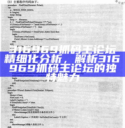 316969抓码王论坛精细化分析，解析316969抓码王论坛的独特魅力