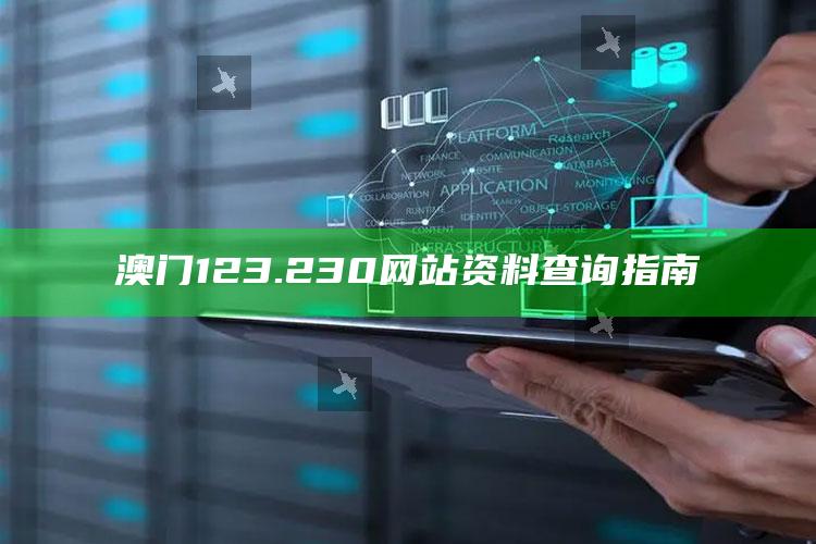 2025澳门正版资料免费大全，澳门123.230网站资料查询指南