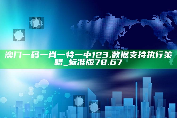 2025澳门资料，澳门一码一肖一特一中123,数据支持执行策略_标准版78.67