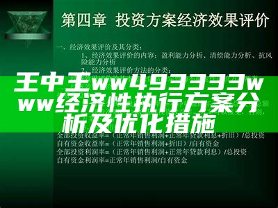 王中王ww493333www经济性执行方案分析及优化措施