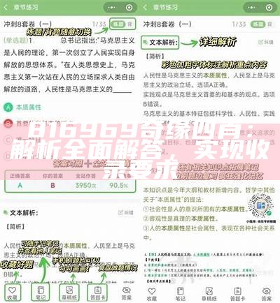 816969奇缘四肖：解析全面解答，实现收录要求