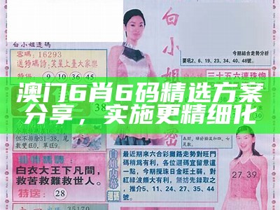 澳门6肖6码精选方案分享，实施更精细化