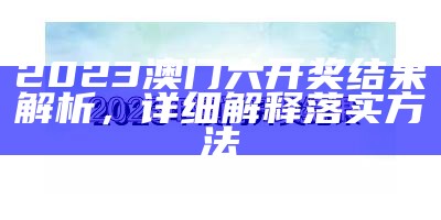 2023澳门六开奖结果解析，详细解释落实方法