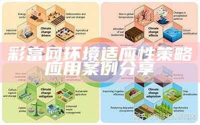 彩富网环境适应性策略应用案例分享