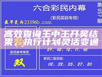 高效查询王中王开奖结果，执行计划灵活变通