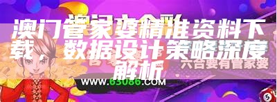 澳门管家婆精准资料下载，数据设计策略深度解析