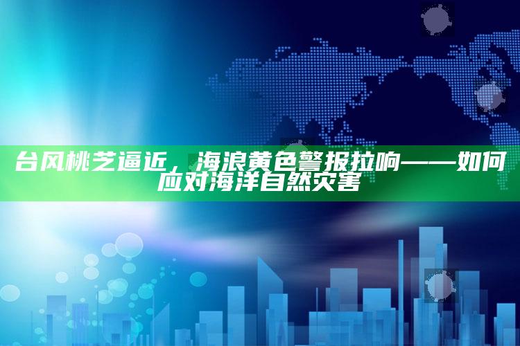 316969抓码王网址改成什么，台风桃芝逼近，海浪黄色警报拉响——如何应对海洋自然灾害