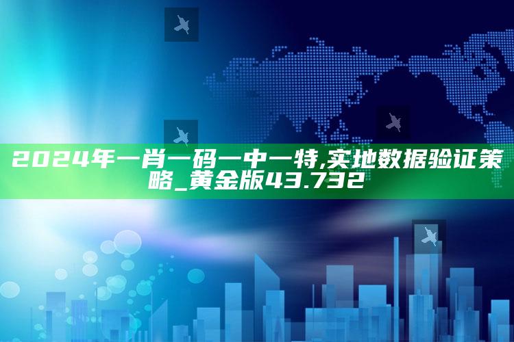 2019开奖资料，2024年一肖一码一中一特,实地数据验证策略_黄金版43.732