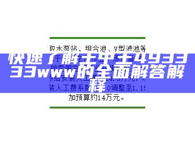 快速了解王中王493333www的全面解答解释