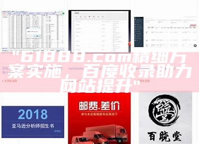 "61888.com精细方案实施，百度收录助力网站提升"