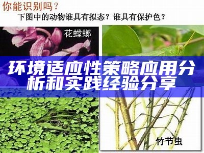 环境适应性策略应用分析和实践经验分享