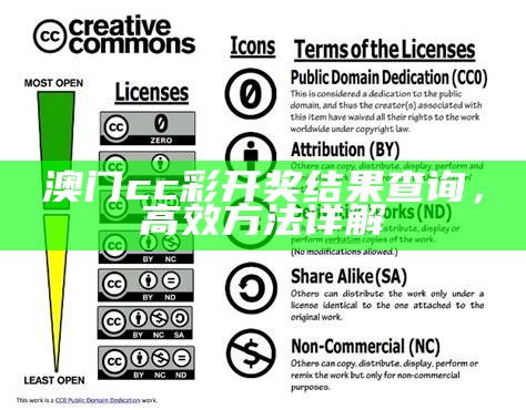 澳门cc彩开奖结果查询，高效方法详解