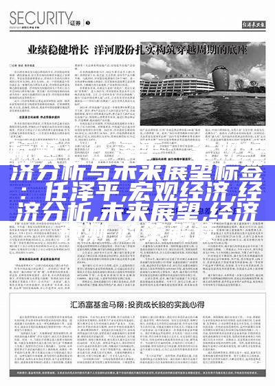 标题：任泽平：宏观经济分析与未来展望

标签：任泽平, 宏观经济, 经济分析, 未来展望, 经济预测, 政策解读