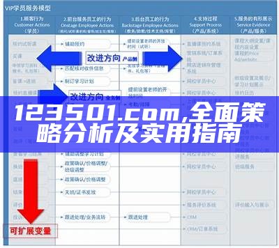 123501.com,全面策略分析及实用指南