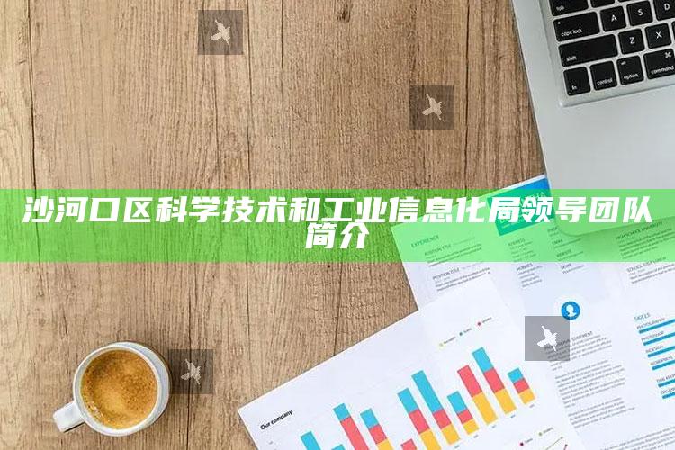 tkcp.cc，沙河口区科学技术和工业信息化局领导团队简介